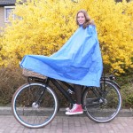 blauwdame3lowres