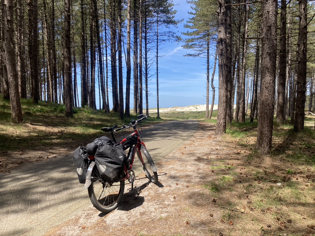 Fietsen in Nederland door een bos
