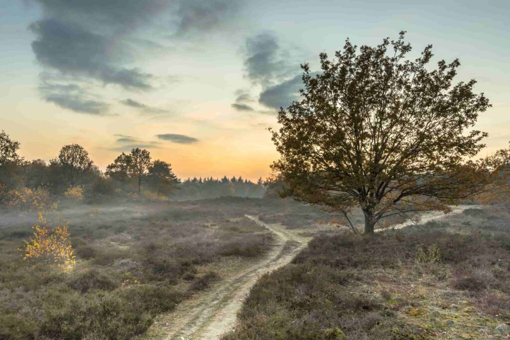Gasten Drenthe