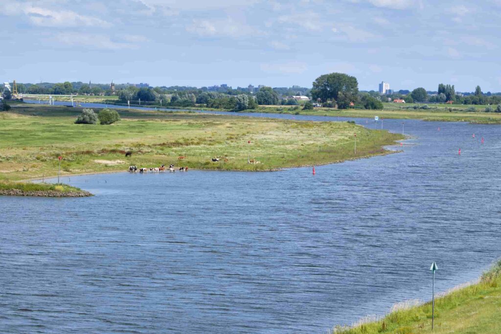 Nederland rivierenland