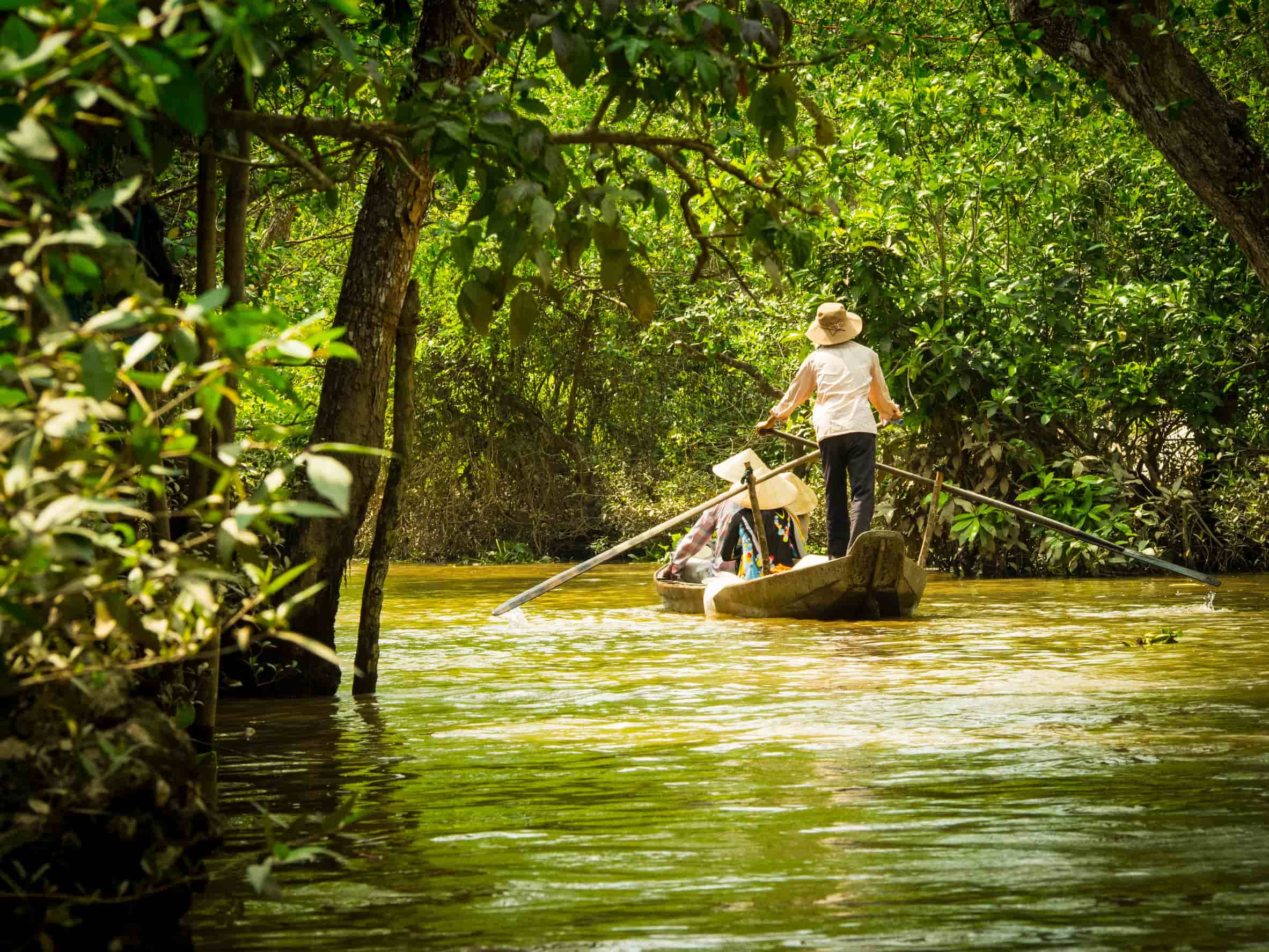 mekong delta